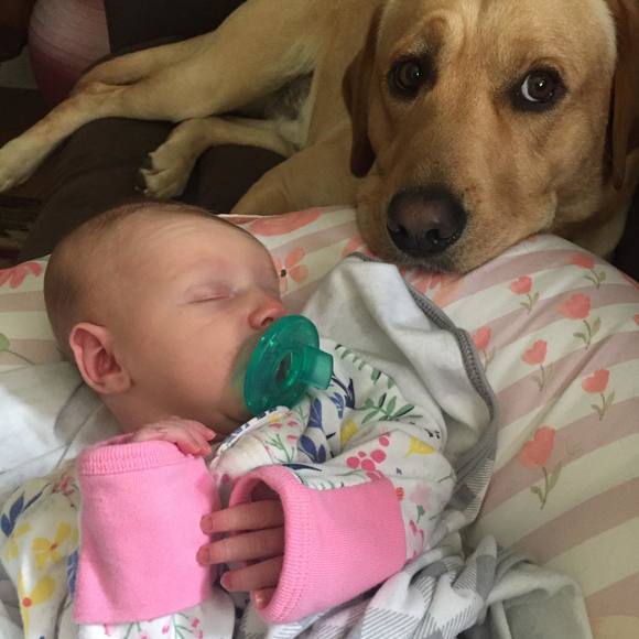 Meet your Posher, Rob - Picture 1 of 1